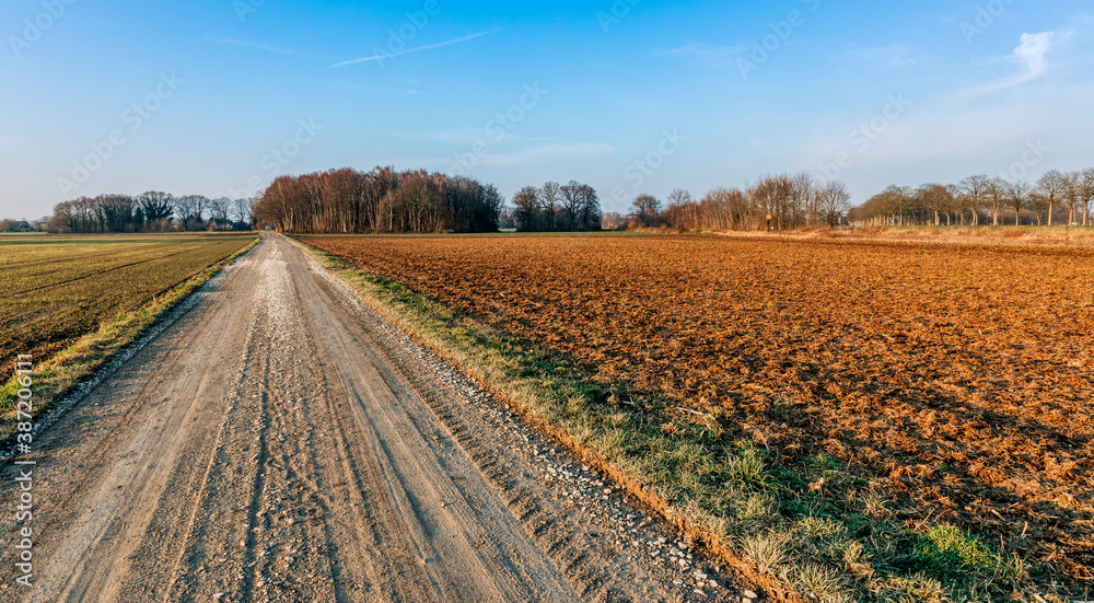 Empty road between agricultural fields