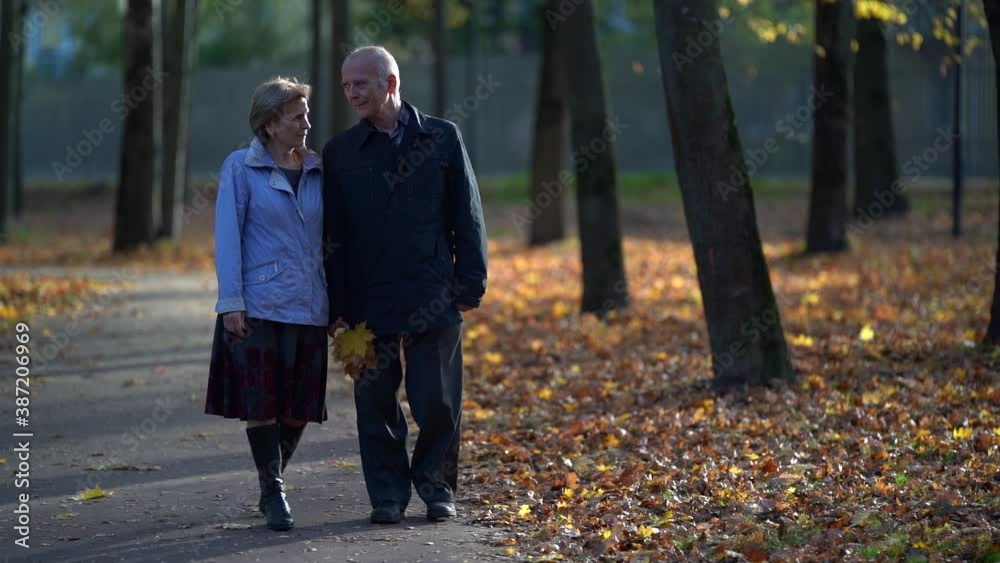 old woman is walking with her husband in park at fall day, spouses are enjoying good weather old woman is walking with her husband in park at fall day, spouses are enjoying good weather