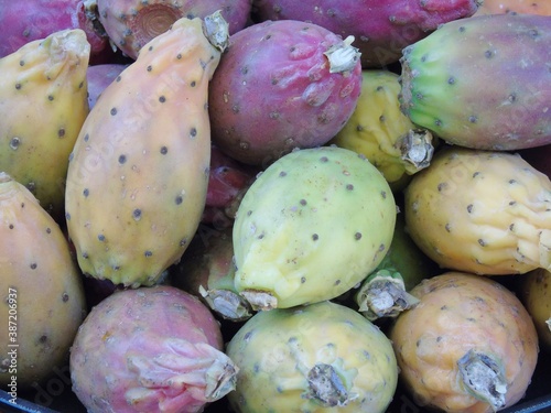 Fico d'India, raccolto autunnale. Frutta fresca del bacino mediterraneo. Sud Europa