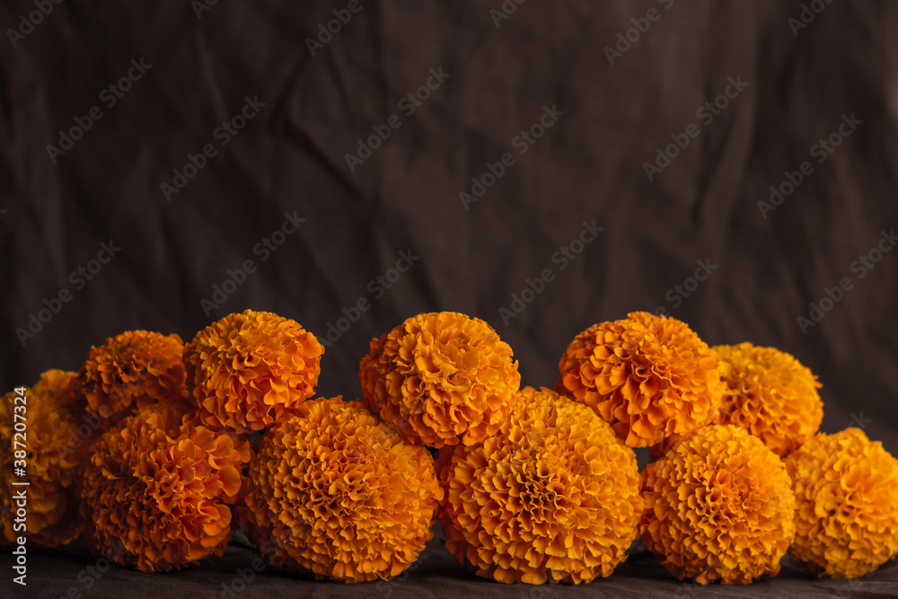 Flores naturales de cempasúchil en fondo color café texturizado Stock Photo  | Adobe Stock