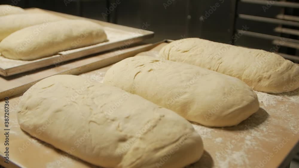 Bread dough raw on table blanks with flour camera movement Bread dough raw on table blanks with flour camera movement