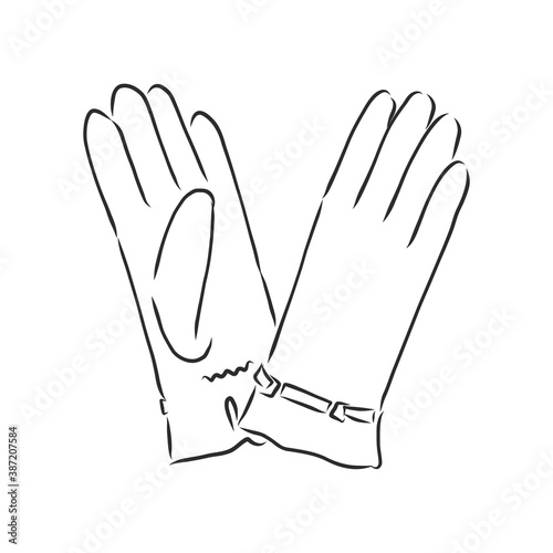 Sketch of winter gloves, vector illustration isoltaed on white background, pair of gloves, gloves, vector sketch illustration