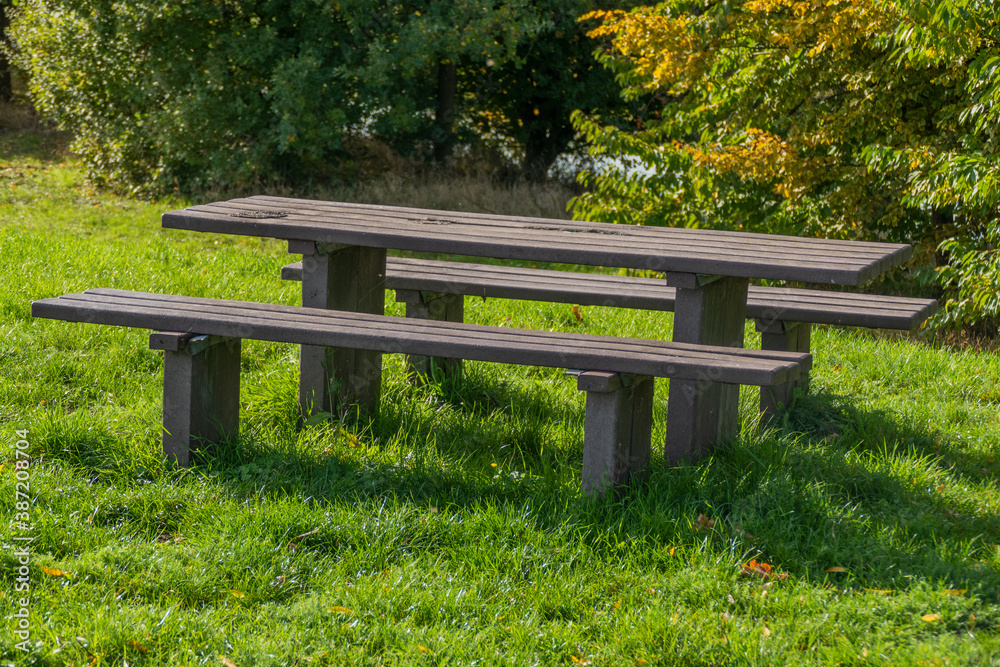 Park bench on a large meadow on the edge of an autumn forest in sunlight Park bench on a large meadow on the edge of an autumn forest in sunlight