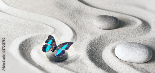 Photo zen garden meditation stone background and butterfly with stones and lines in sa