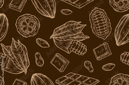 Cocoa seamless pattern, hand drawn vector