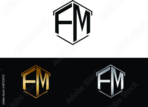FM hexagon Shape Letter logo Design