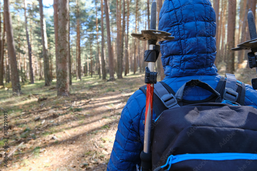 Unrecognizable person walking in the forest with hooded jacket and backpack