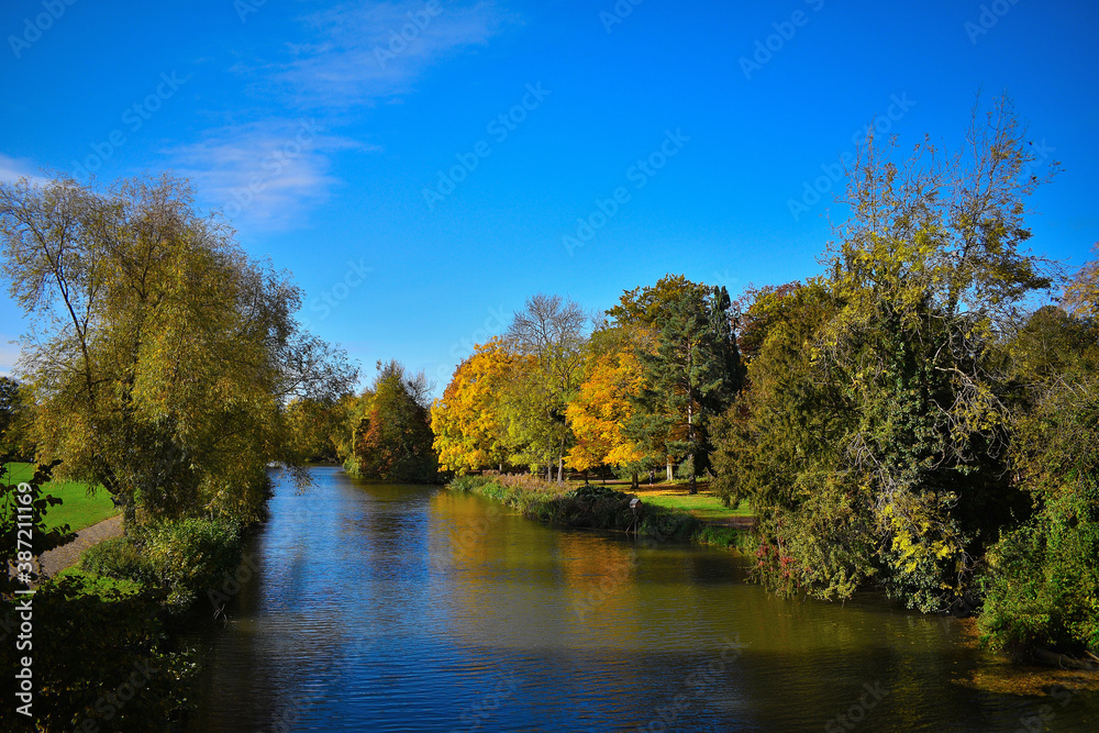 autumn in the park