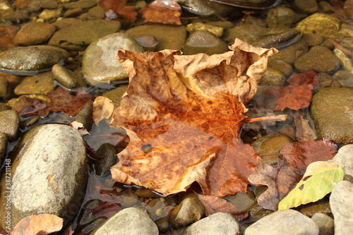 Fallen