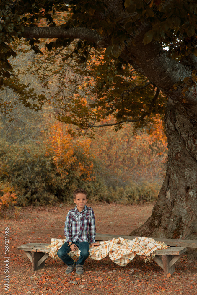 Boy sitting on a bench in the woods Boy sitting on a bench in the woods