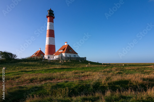 Leuchtturm Westerverversand, Salzwiesen, Nationalpark Wattenmeer, Halbinsel Eiderstedt, Nordfriesland, Schleswig-Holstein