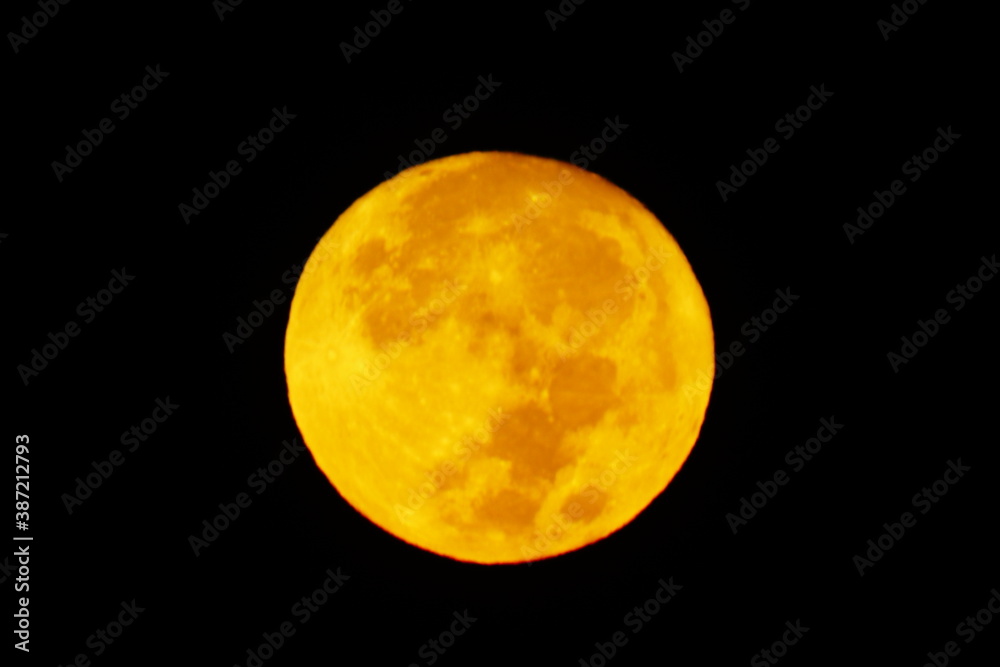 Fototapeta premium full moon