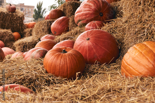 Decorative pumpkins at farm market stands on sheaves of hay .Thanksgiving holiday season and Halloween decor