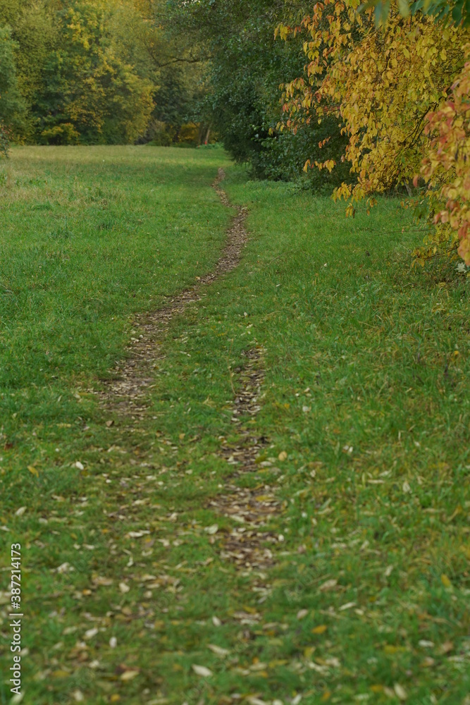 Weg durch eine grüne Wiese oder Weide aus kurzem Gras mit Herbstlichem Blatt Schmuck Weg durch eine grüne Wiese oder Weide aus kurzem Gras mit Herbstlichem Blatt Schmuck