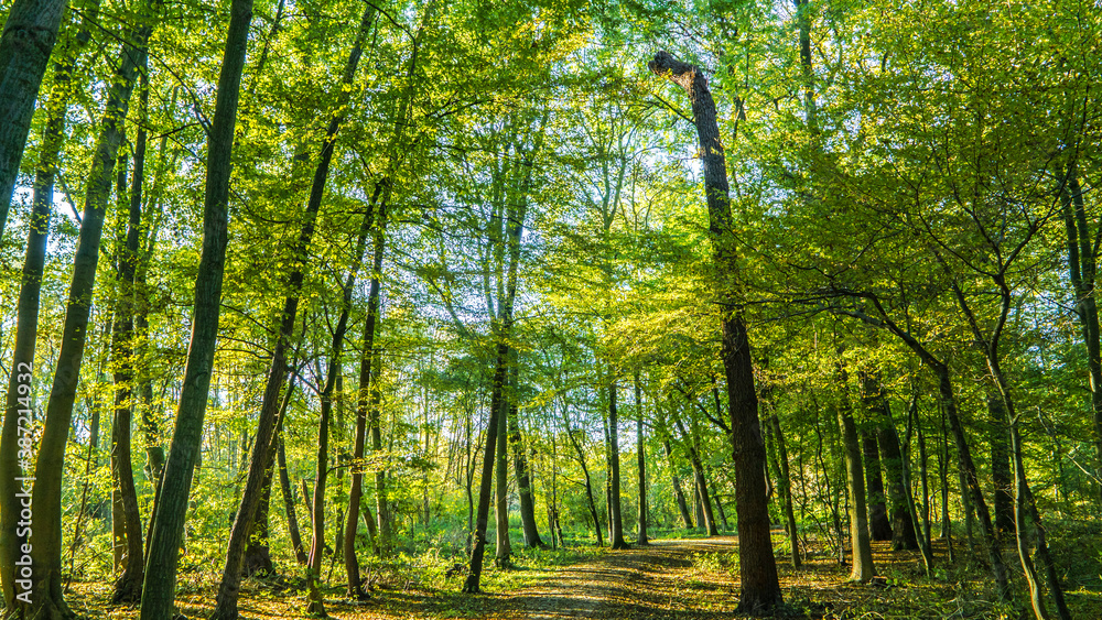 Hannover Seelhorst Hannover Seelhorst