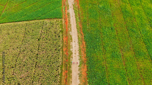 Backpackers trekking on the way to Inle Lake, Myanmar