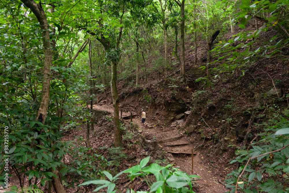 Woman exercising doing mountain trekking on one of the paths of Sabas Nieves, a place well known by visitors to the Avila mountain or Waraira Repano. Woman exercising doing mountain trekking on one of the paths of Sabas Nieves, a place well known by visitors to the Avila mountain or Waraira Repano.