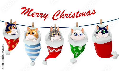 Cute kittens christmas pattern in socks