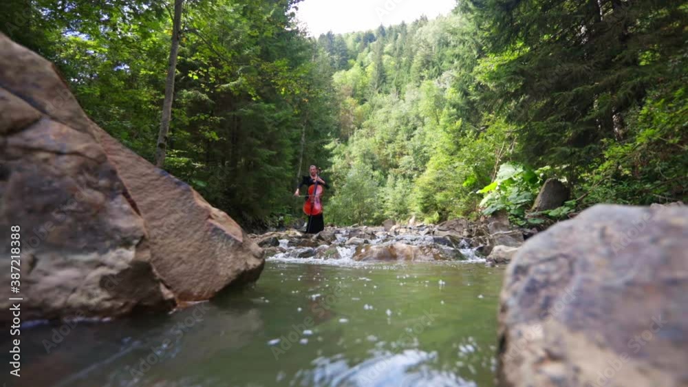 Woman playing the cello in river. Pretty girl playing cello in mountain river Woman playing the cello in river. Pretty girl playing cello in mountain river
