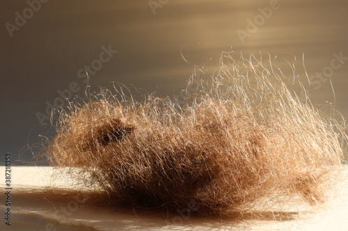 A bunch of hair. The concept of the problem of hair loss in women. hair falls.
