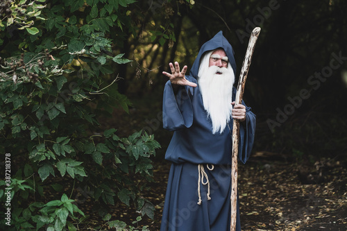 A wizard with a long gray beard casts a spell in a dense forest photo
