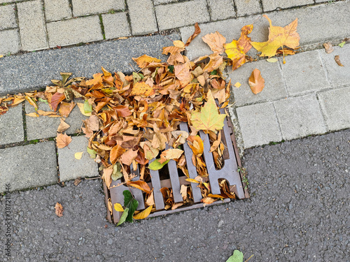 Foto Herbstlaub verstopft einen Gully
