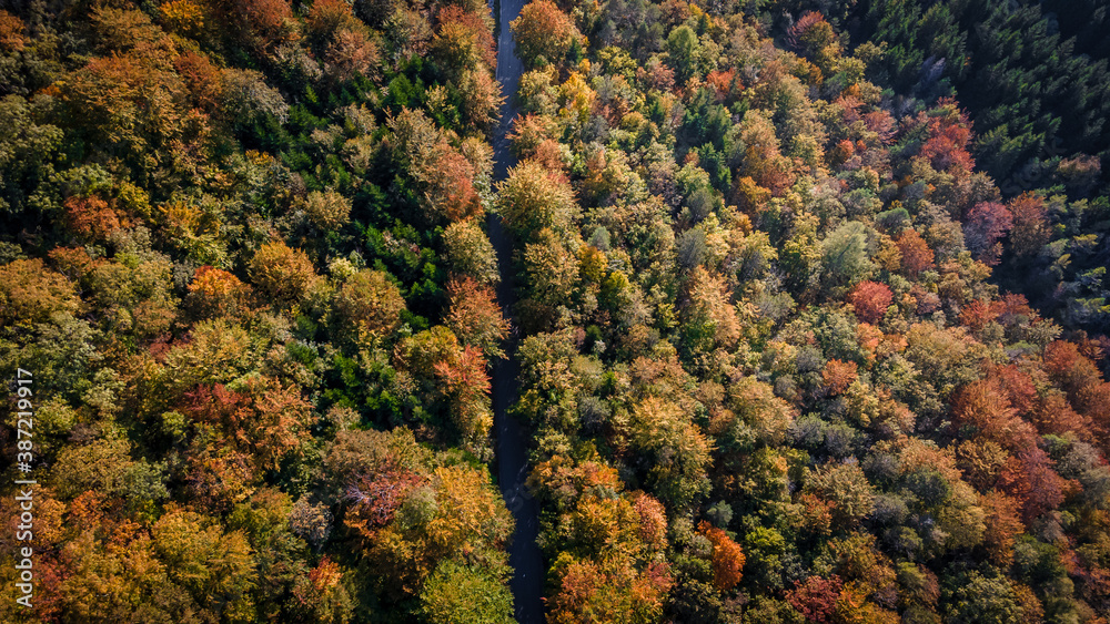 Vue aérienne sur une forêt aux couleur d'automne , divisée par une route qui la traverse
