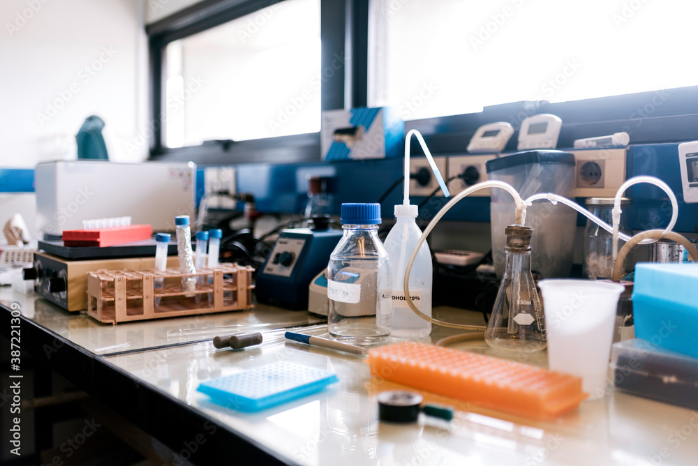 Inside a Biology Laboratory Front View Inside a Biology Laboratory Front View