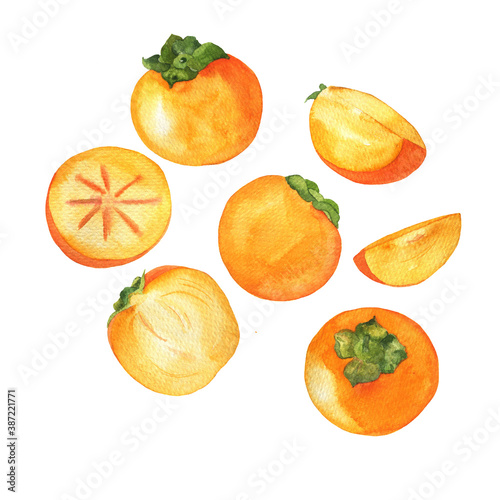 Set of fresh orange persimmon fruit. Hand drawn watercolor illustration.