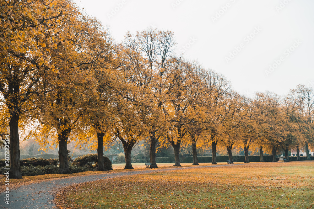Autumn Scene in the Park, United Kingdom