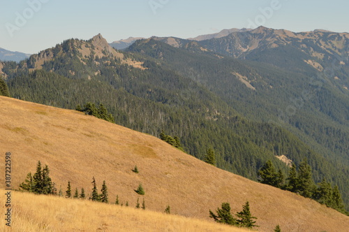 Road tripping around the Olympic Peninsula and Seattle in Washington State, USA
