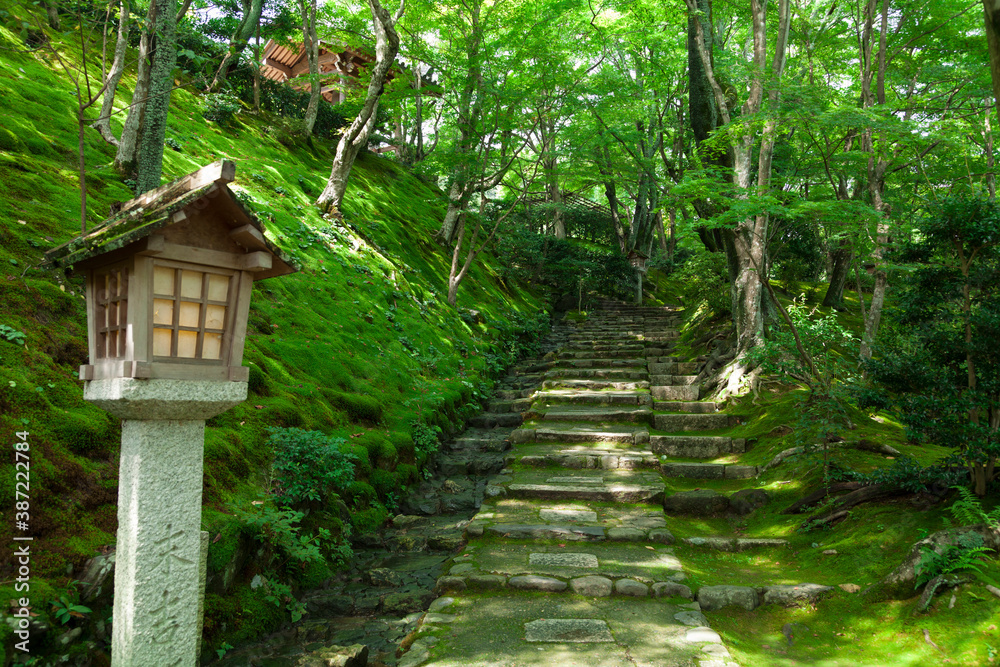 常寂光寺の石段 常寂光寺の石段