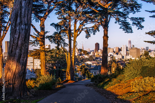 The city of San Francisco as seen from Alamo Square Park.
