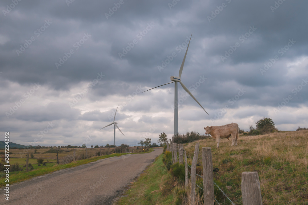 Fototapeta premium éoliennes