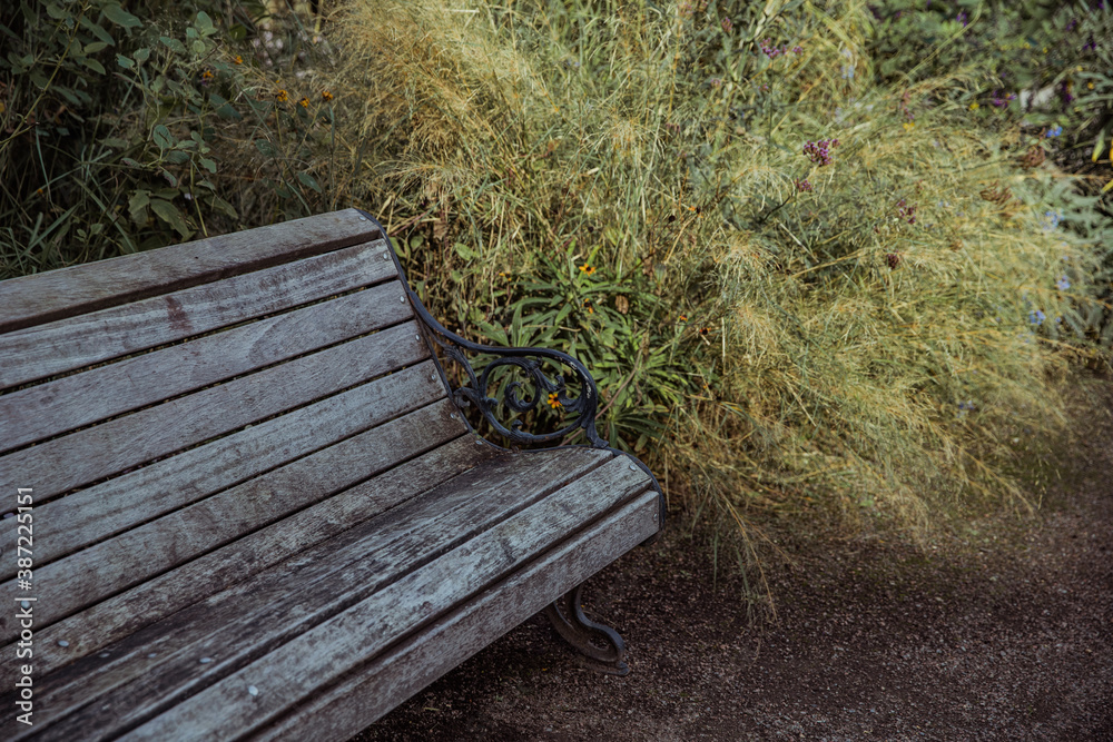 Fototapeta premium Wooden bench in the park