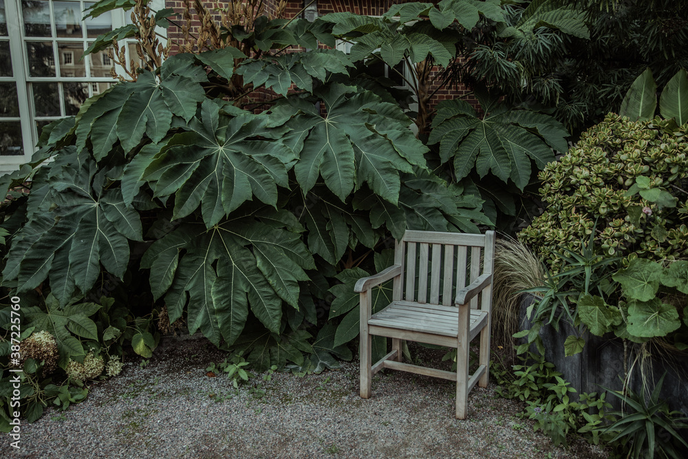 Wooden chair in garden