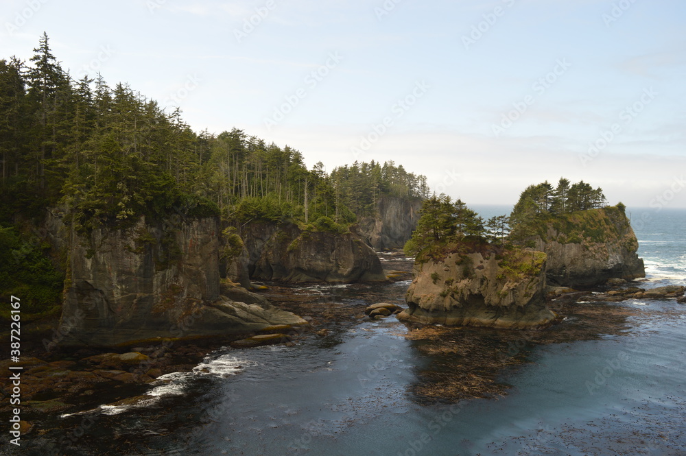 Obraz premium Hiking and camping in the enchanting forest around Shi Shi Beach on the Olympic Peninsula of Washington State, USA