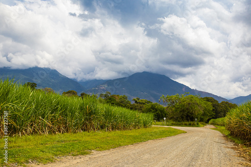 Unpaved rural road, sugar cane field and the Paramo de las Hermosas mountains at the Valle del Cauca region in Colombia