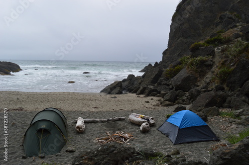 фотографія Camping and hiking in the trippy enchanting forests of the Olympic National Park