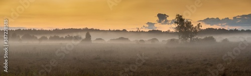 Foggy panorama of meadows at sunrise, the buffer zone of the Bialowieski National Park