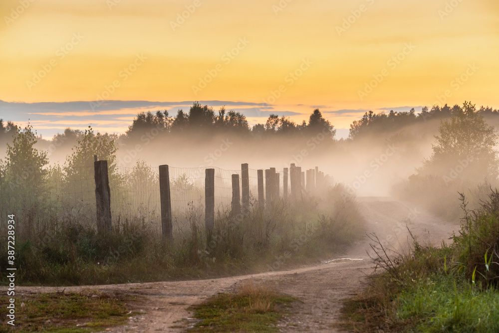 Foggy panorama of road at sunrise, the buffer zone of the Bialowieski National Park