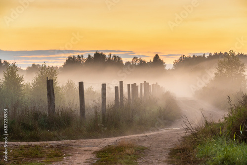 Foggy panorama of road at sunrise  the buffer zone of the Bialowieski National Park