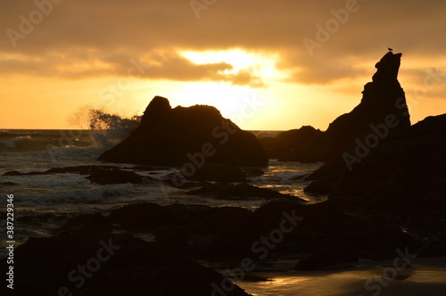 Sunset camping at the Shi Shi Beach in the Olympic National Park in the Pacific Northwest of Washington State, USA