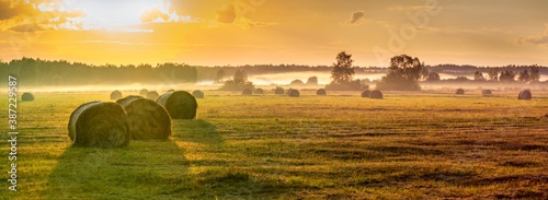 Foggy panorama of meadows at sunrise, the buffer zone of the Bialowieski National Park photo