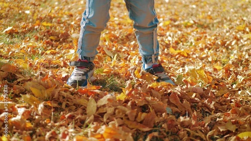Wallpaper Mural Children's feet on autumn foliage. Torontodigital.ca