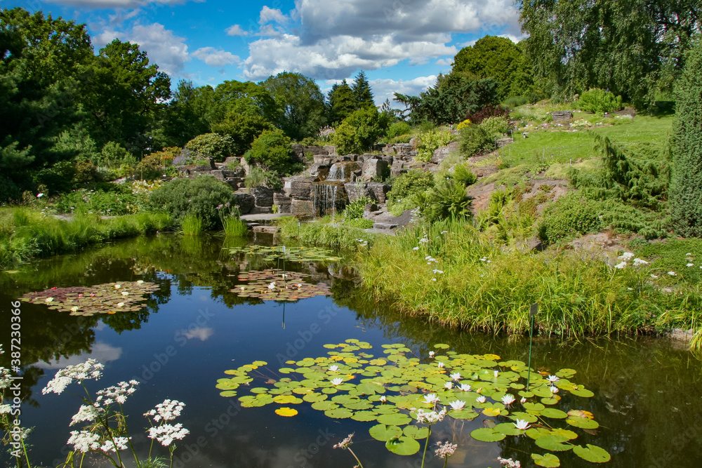 Obraz premium Botanical Garden in Oslo, Norway's capital
