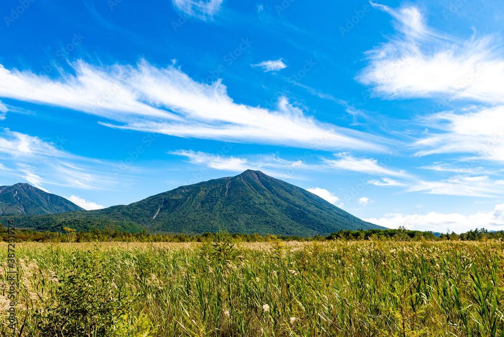 Fototapeta premium 奥日光 戦場ヶ原と男体山