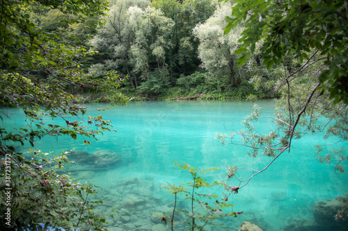 lake in the forest