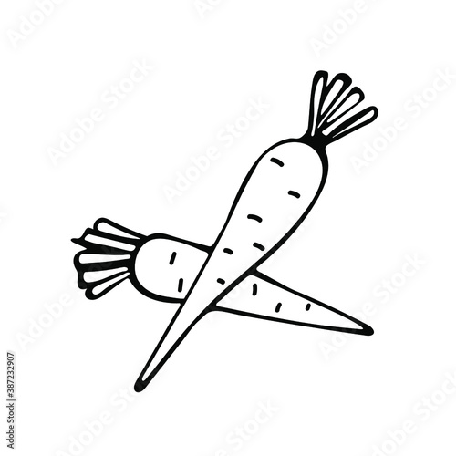 Hand drawn carrots in doodle style. Isolated on a white background.
Idea for logo, culinary design, food menu. Black and white vector image.