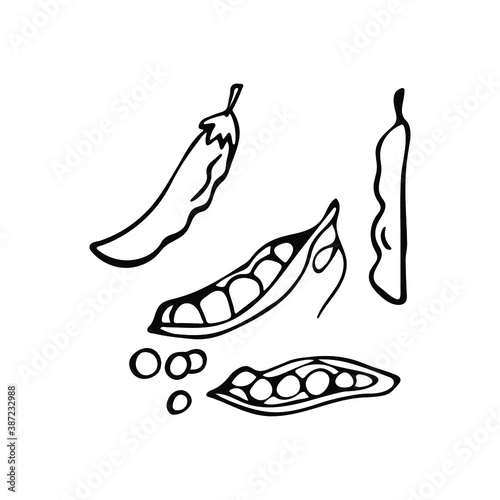 Hand drawn peas in doodle style. Isolated on a white background.
Idea for logo, culinary design, food menu. Black and white vector image.